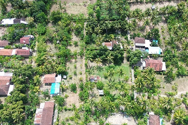 Dijual Murah Tanah Kebun Dekat Pantai di Gerokgak Buleleng - 6