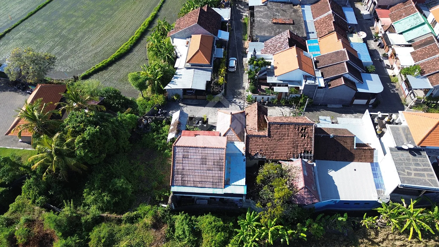 Dijual Rumah Dekat Pantai Penimbangan Singaraja - 10