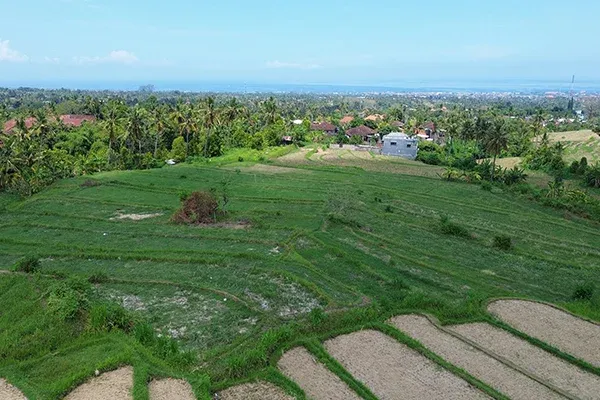 Dijual Tanah 1 Hektar Pinggir Jalan Singaraja Denpasar - 4