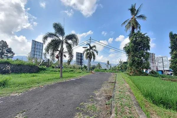 Dijual Tanah 1 Hektar Pinggir Jalan Singaraja Denpasar - 7