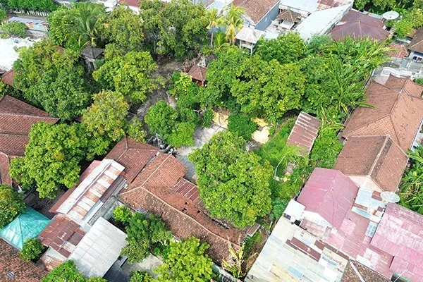 Dijual Tanah Dekat Kampus Bawah Undiksha Singaraja - 4