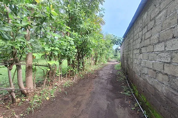 Dijual Tanah Dekat Pantai di Kubutambahan Buleleng - 3