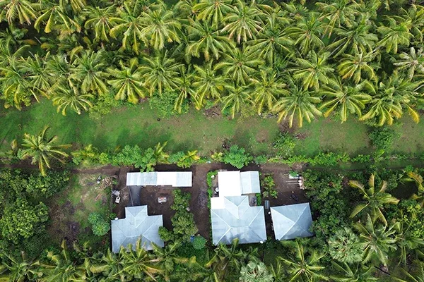 Dijual Tanah Dekat Pantai di Kubutambahan Buleleng - 4