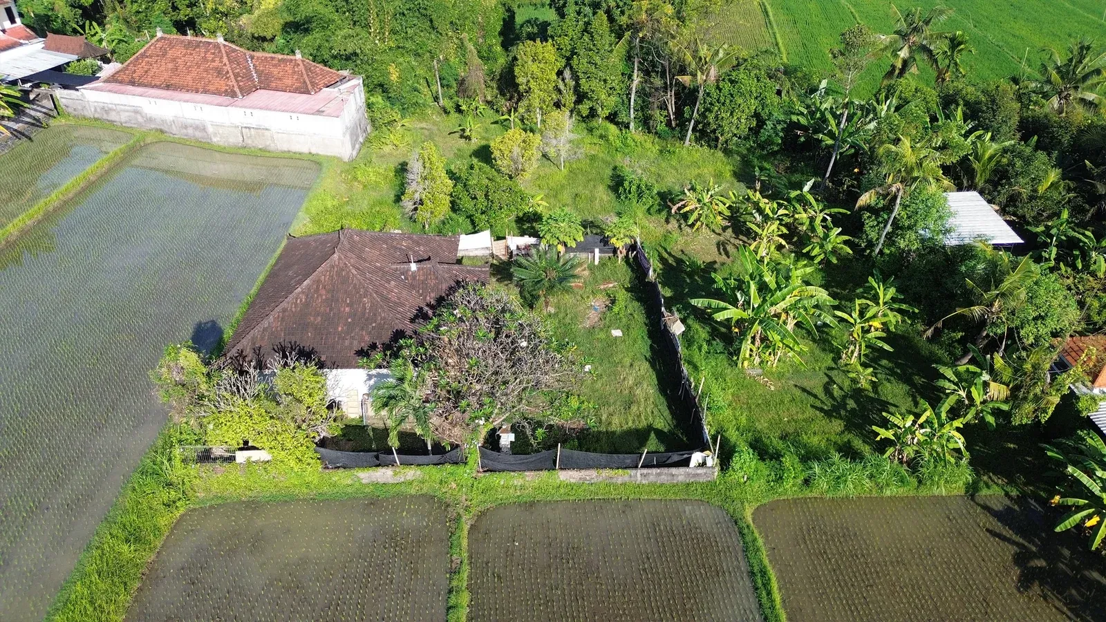 Dijual Tanah Dengan View Sawah di Sangket Sukasada - 5