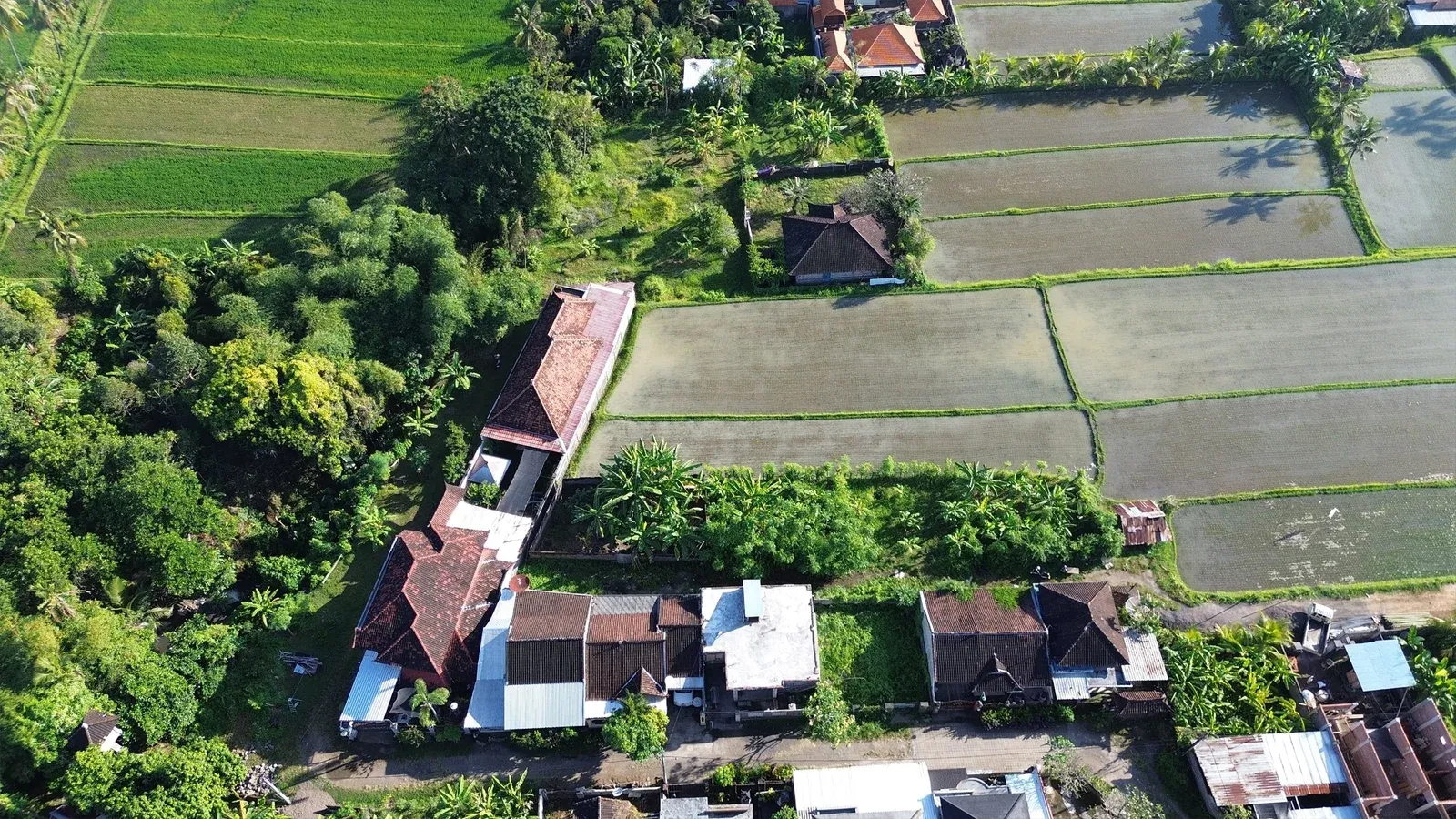 Dijual Tanah Dengan View Sawah di Sangket Sukasada - 2