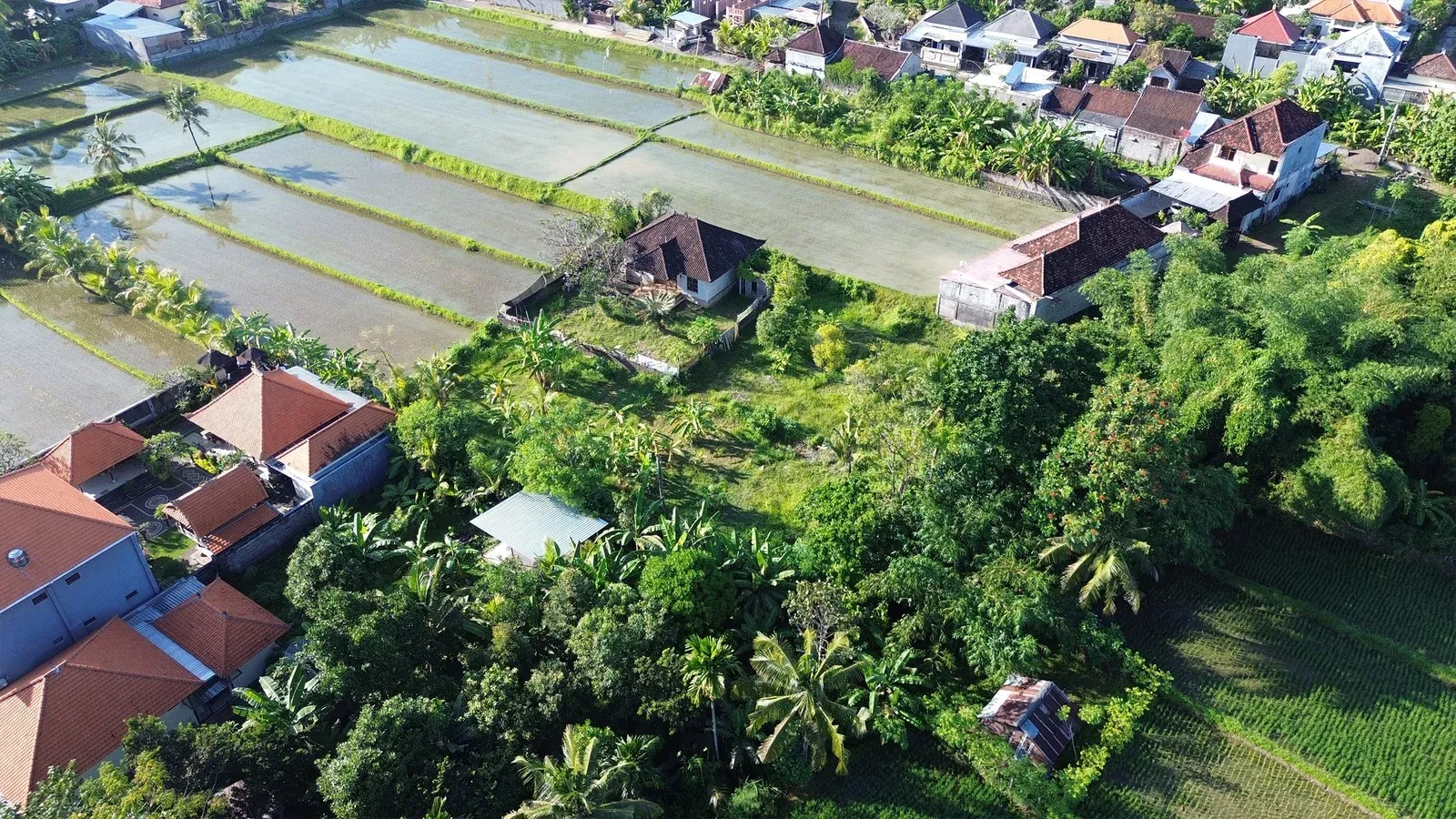 Dijual Tanah Dengan View Sawah di Sangket Sukasada - 4