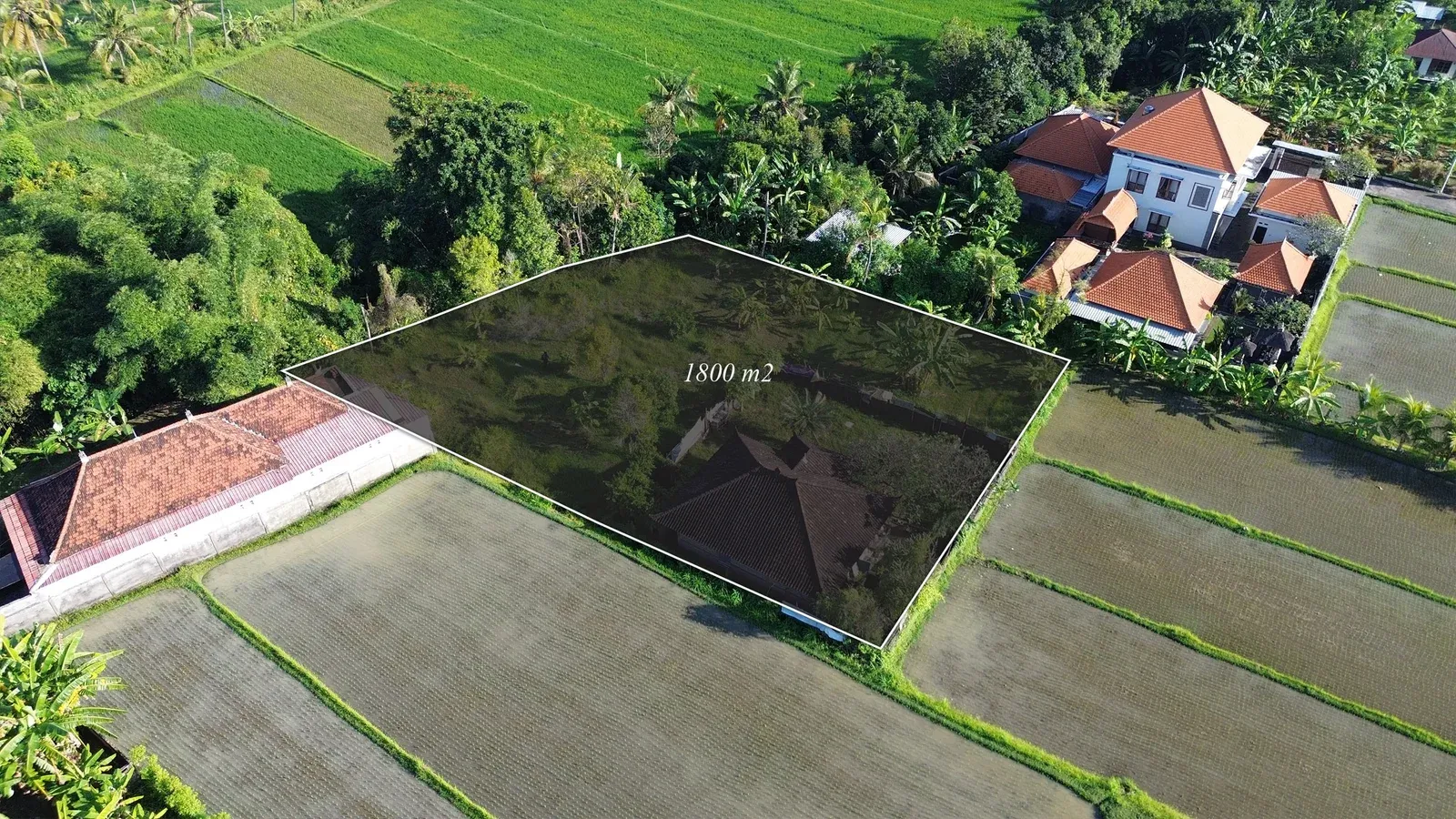 Dijual Tanah Dengan View Sawah di Sangket Sukasada - 3
