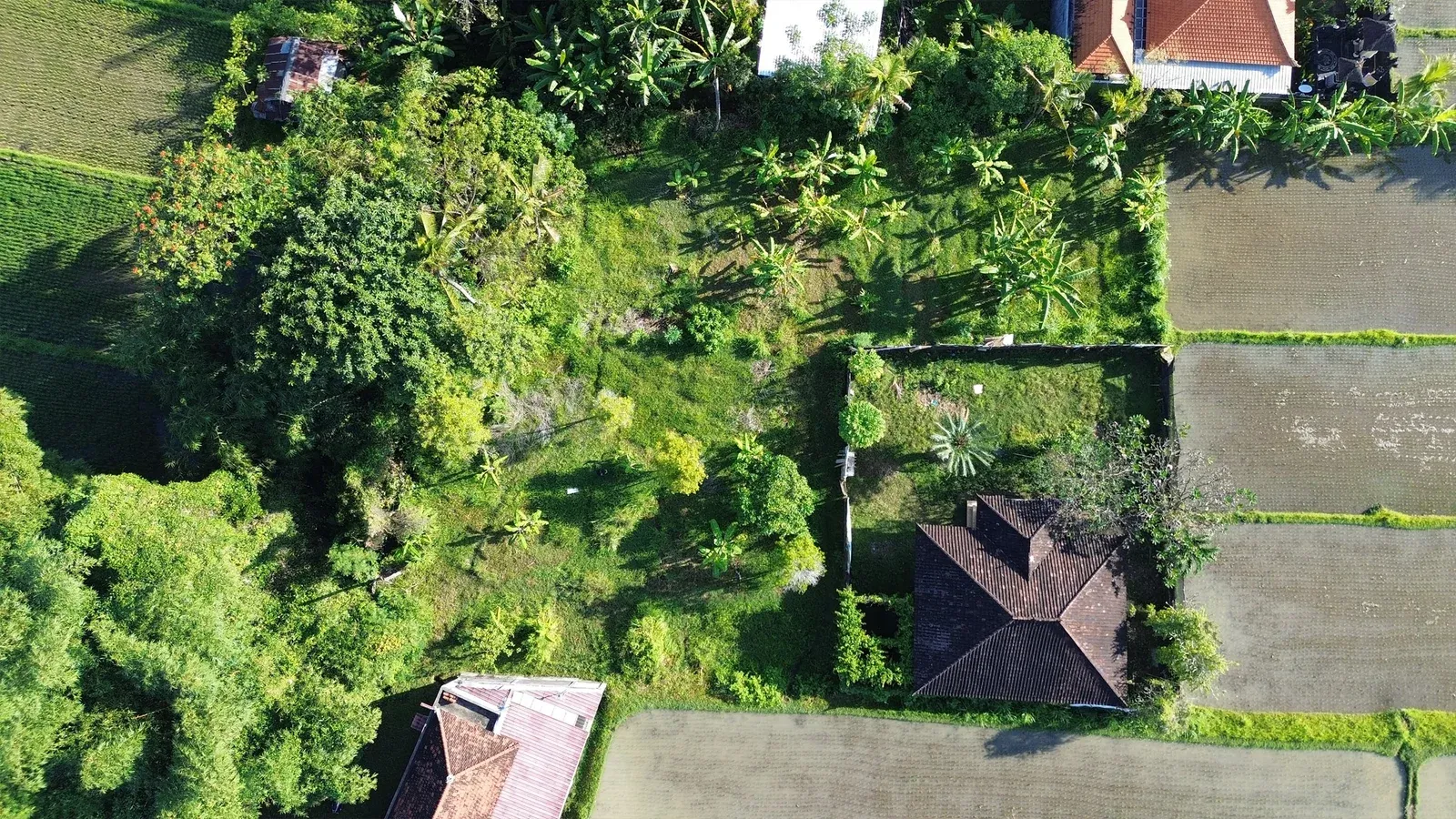 Dijual Tanah Dengan View Sawah di Sangket Sukasada - 6