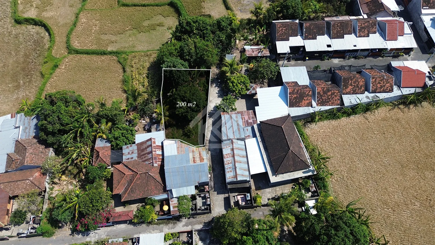 Dijual Tanah Kavling 2 Are di Kerobokan Desa