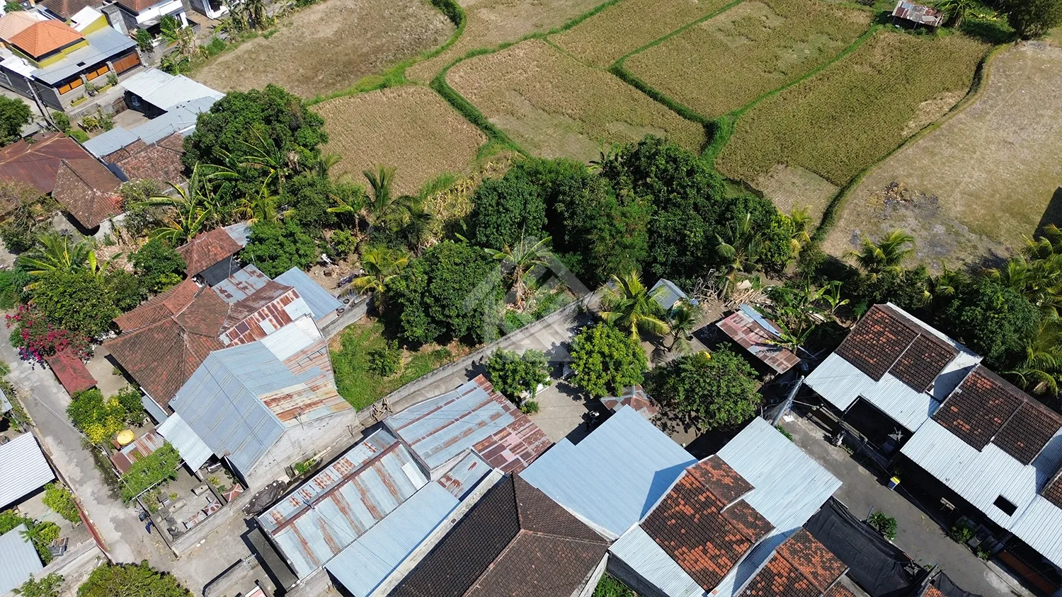 Dijual Tanah Kavling 2 Are di Kerobokan Desa - 2