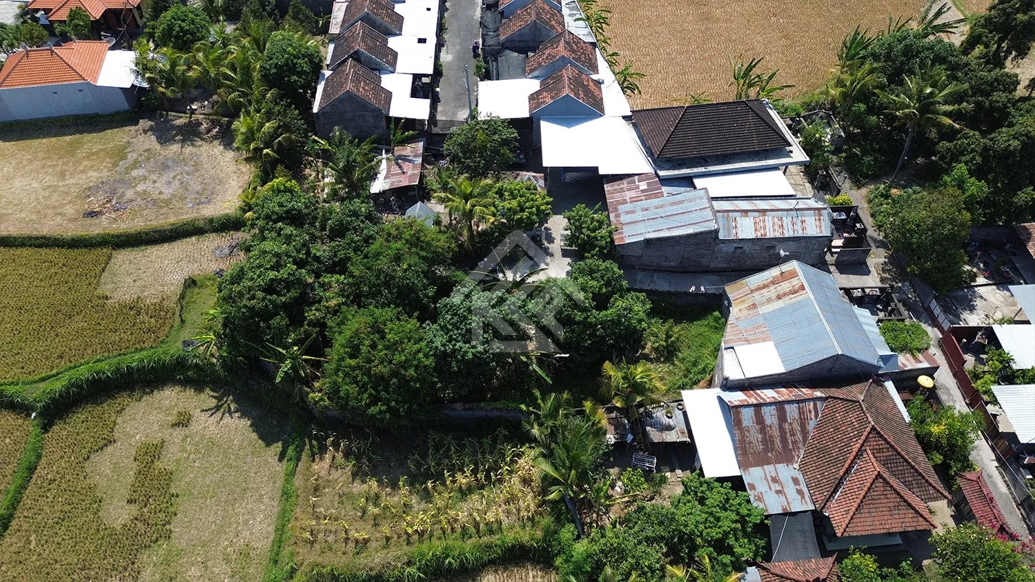 Dijual Tanah Kavling 2 Are di Kerobokan Desa - 3