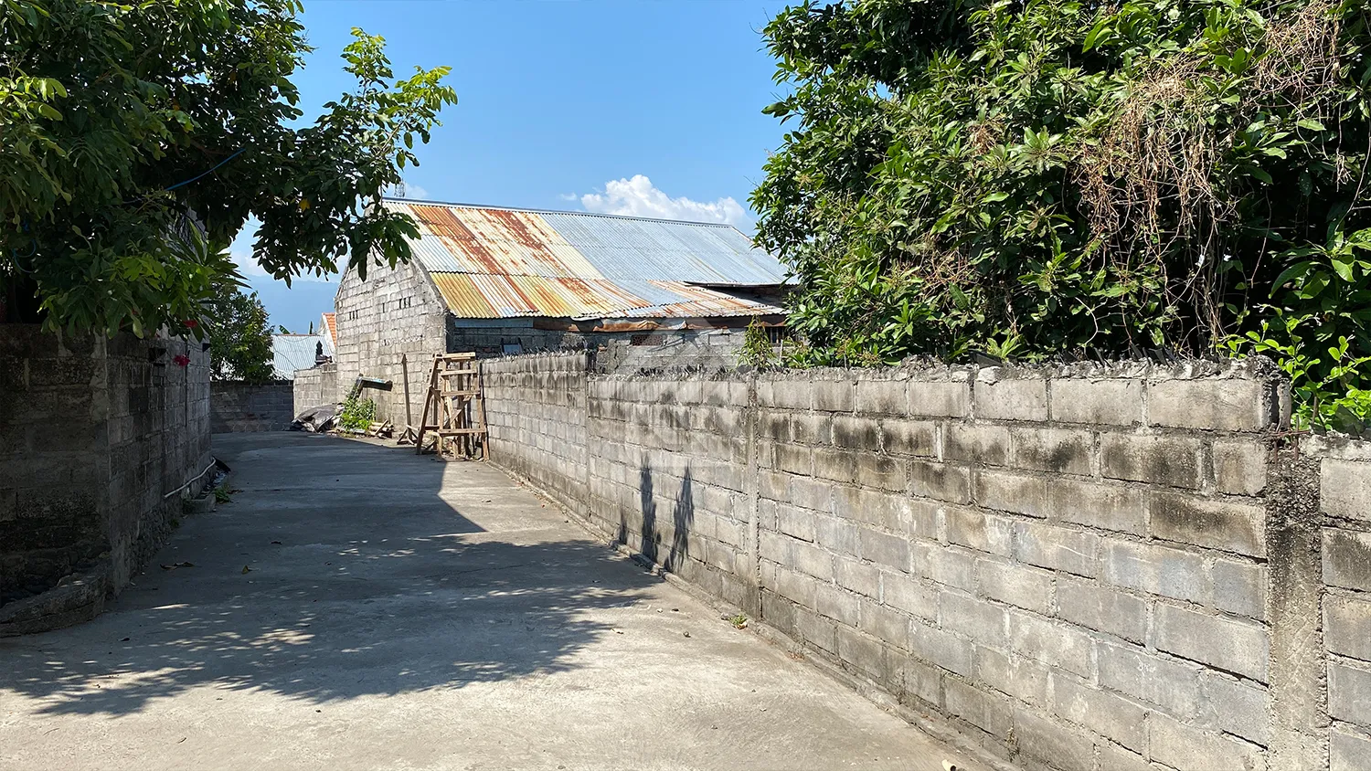 Dijual Tanah Kavling 2 Are di Kerobokan Desa - 4