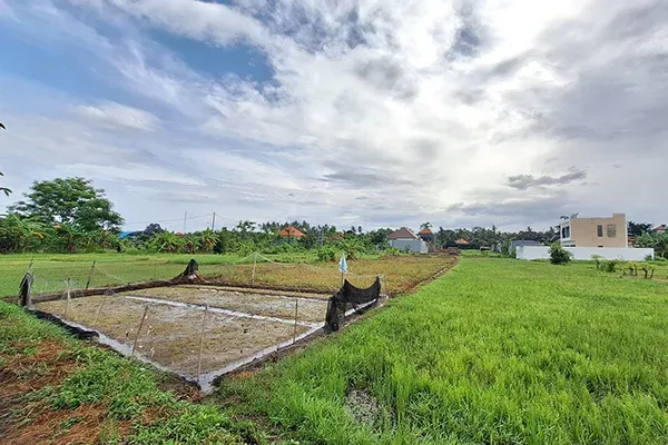 Dijual Tanah Kavling Dekat Pantai Desa Anturan - 3