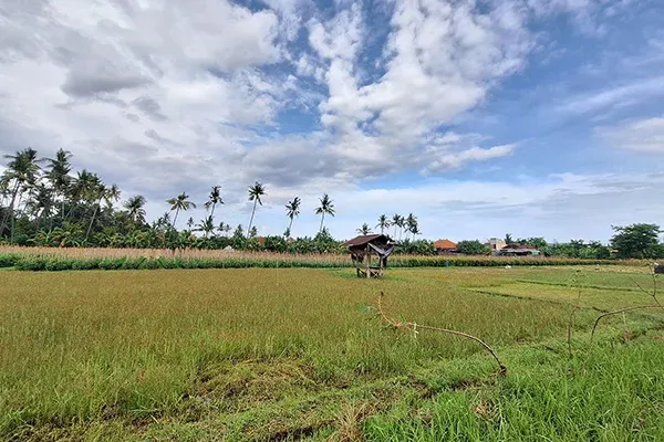 Dijual Tanah Kavling Dekat Pantai Desa Anturan - 5