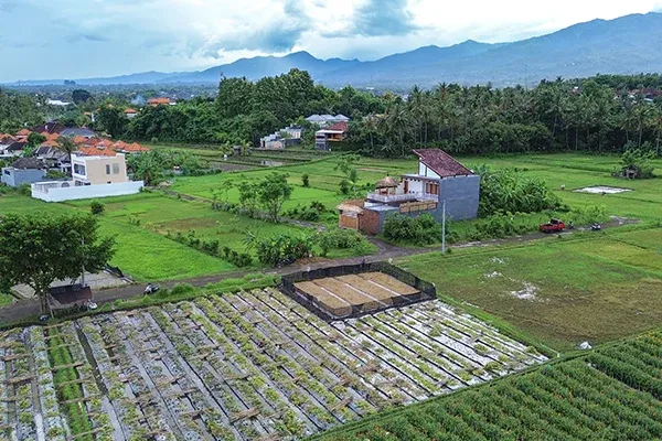 Dijual Tanah Kavling Dekat Pantai Desa Anturan - 6