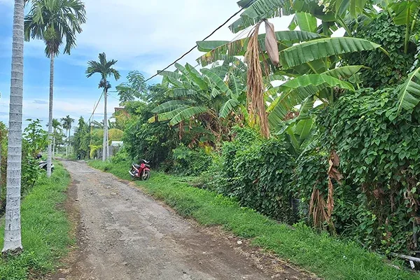 Dijual Tanah Kavling Dekat Pantai di Seririt Buleleng - 3