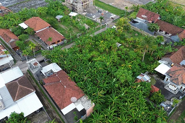 Dijual Tanah Kavling Dekat Pantai di Seririt Buleleng - 4