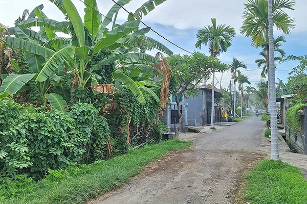 Dijual Tanah Kavling Dekat Pantai di Seririt Buleleng - 7