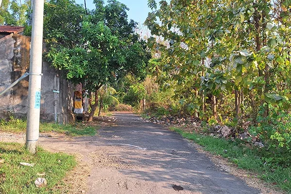 Dijual Tanah Kavling Dekat RS Bali Med Banjar Tegal - 5