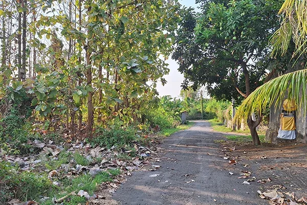 Dijual Tanah Kavling Dekat RS Bali Med Banjar Tegal - 6