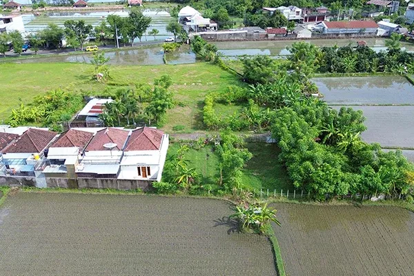 Dijual Tanah Kavling View Sawah Dekat Jalan Utama Tukadmungga - 3