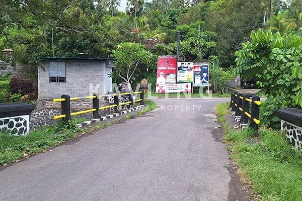 Dijual Tanah Kebun Durian Musangking di Desa Panji Abasan - 2