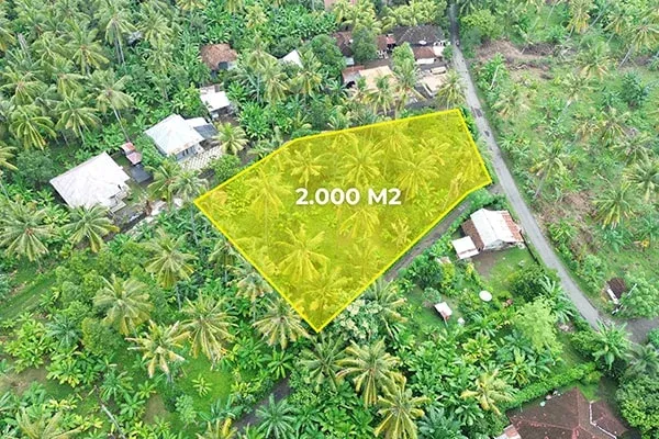 Dijual Tanah Pinggir Jalan Desa Temukus Lovina - 2