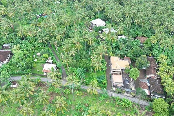 Dijual Tanah Pinggir Jalan Desa Temukus Lovina - 4
