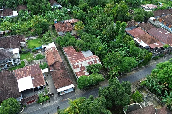 Dijual Tanah Pinggir Jalan Utama Desa Anturan Buleleng - 5
