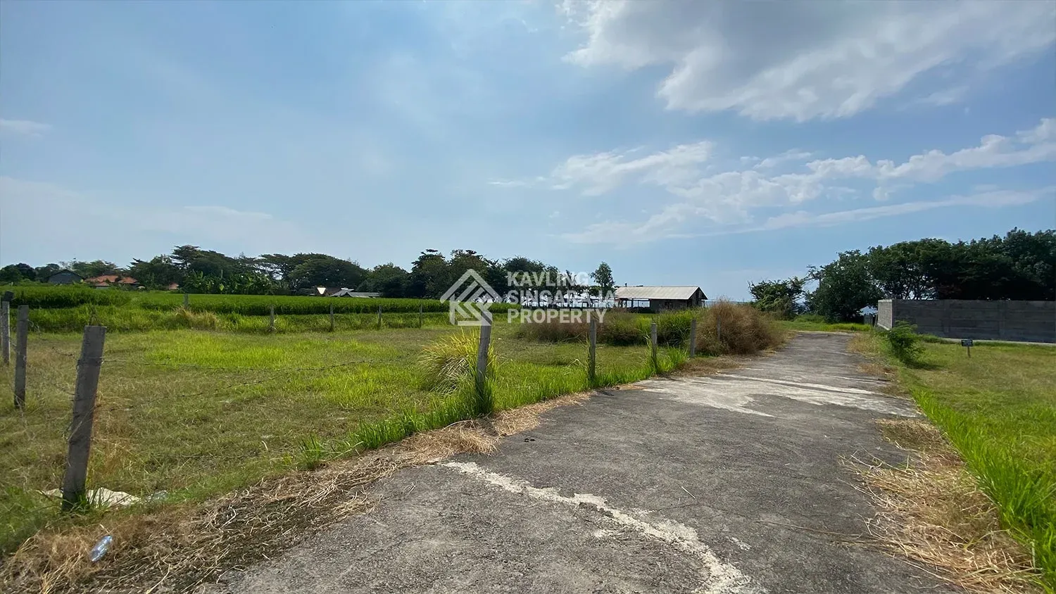 Disewakan Tanah Dekat Pantai Kerobokan Singaraja - 4