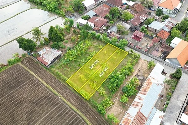 Jual Tanah Kavling Belakang Kantor Samsat Buleleng