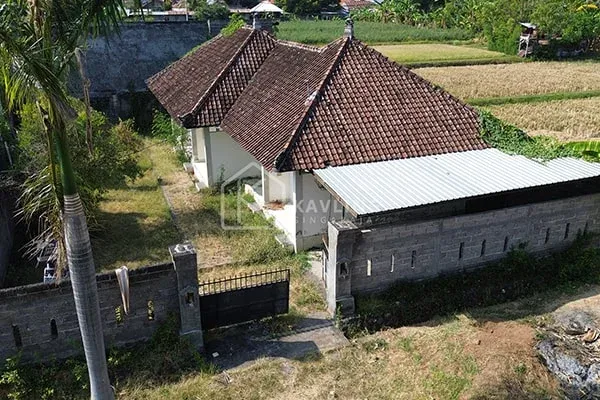 Rumah Kost Dijual Dekat Kantor Perbekel Baktiseraga - 9