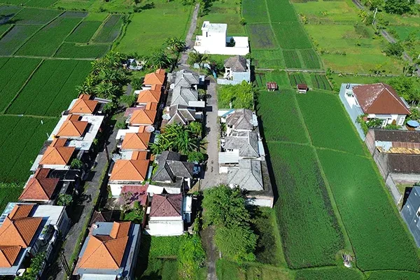 Rumah Siap Huni Kawasan Asri Dekat Lovina - 5
