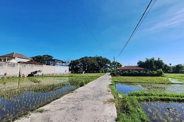 Tanah Dijual Dekat Pantai Dengan Pemandangan Sawah Sebelah Hotel Bali Taman Buleleng - 2