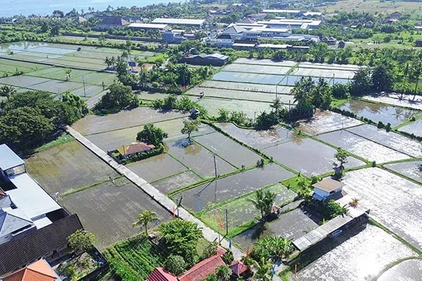 Tanah Dijual Dekat Pantai Dengan Pemandangan Sawah Sebelah Hotel Bali Taman Buleleng - 3