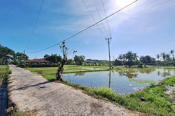 Tanah Dijual Dekat Pantai Dengan Pemandangan Sawah Sebelah Hotel Bali Taman Buleleng - 4
