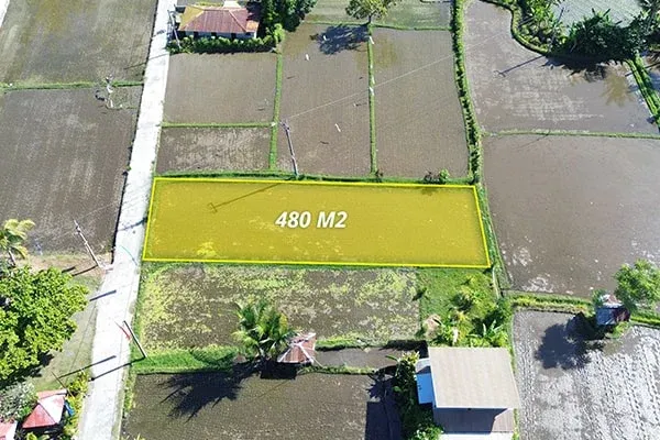 Tanah Dijual Dekat Pantai Dengan Pemandangan Sawah Sebelah Hotel Bali Taman Buleleng - 5