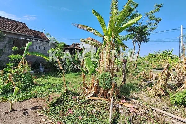 Tanah Dijual di Dekat STKIP Banyuning - 4