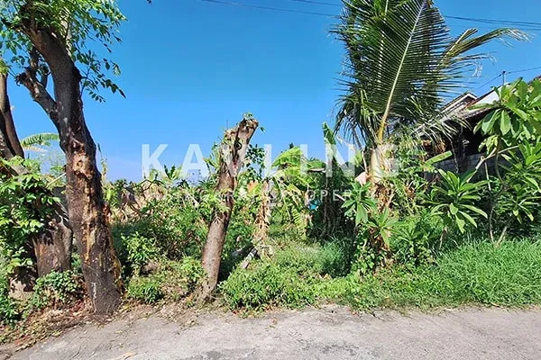 Tanah Dijual di Dekat STKIP Banyuning - 5