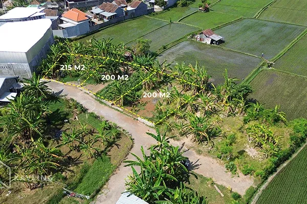 Tanah Dijual di Depan Pura Dalem Pemaron Singaraja - 2
