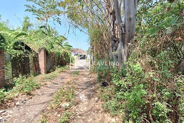Tanah Dijual di Pantai Indah Singaraja - 3