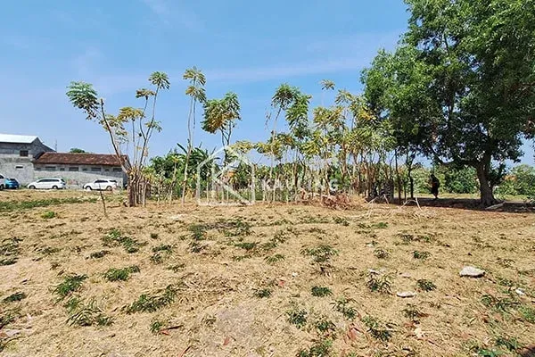Tanah Dijual Di Perumahan Griya Pemaron Singaraja - 4