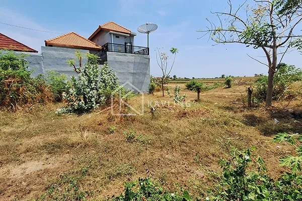 Tanah Dijual di Perumahan Jalak Putih Singaraja - 4
