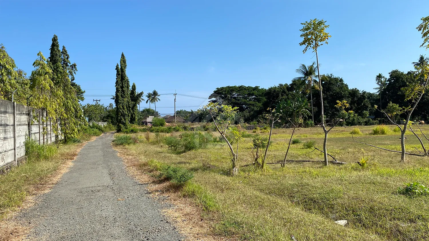 Tanah Kavling Dekat Pantai Temukus - 8