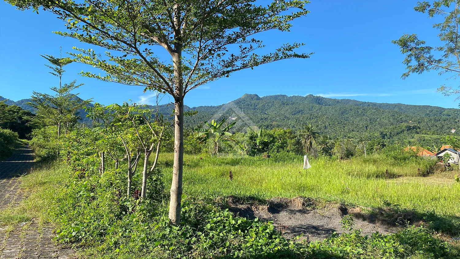 Tanah Kavling Dengan Pemandangan Bukit di Desa Panji