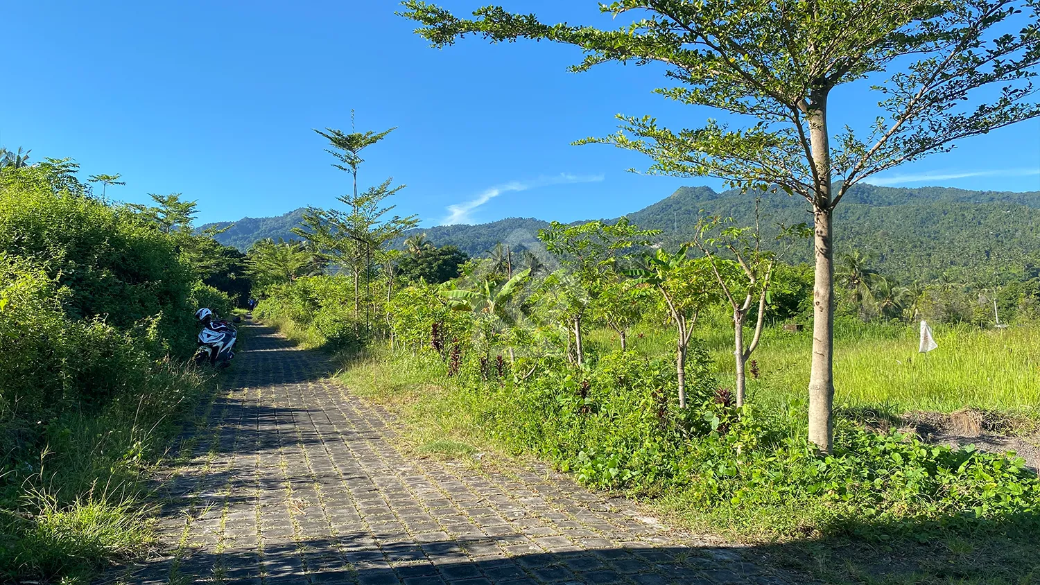 Tanah Kavling Dengan Pemandangan Bukit di Desa Panji - 5