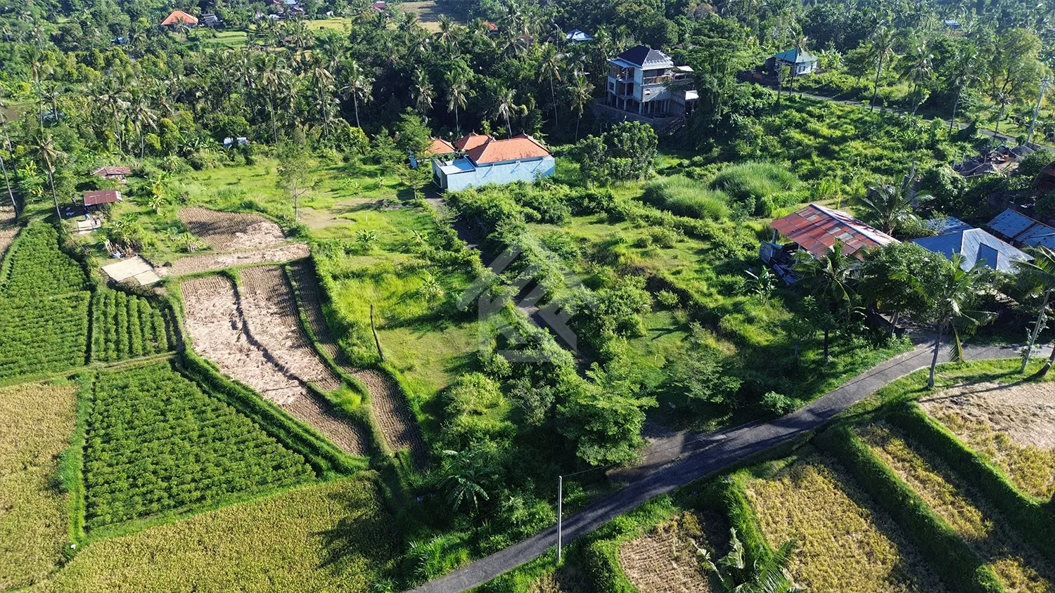 Tanah Kavling Dengan Pemandangan Bukit di Desa Panji - 7