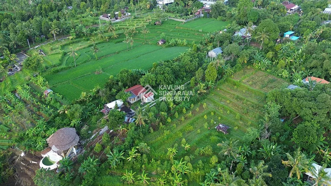 Tanah Kavling Luasan 1 Are di Sambangan - 3