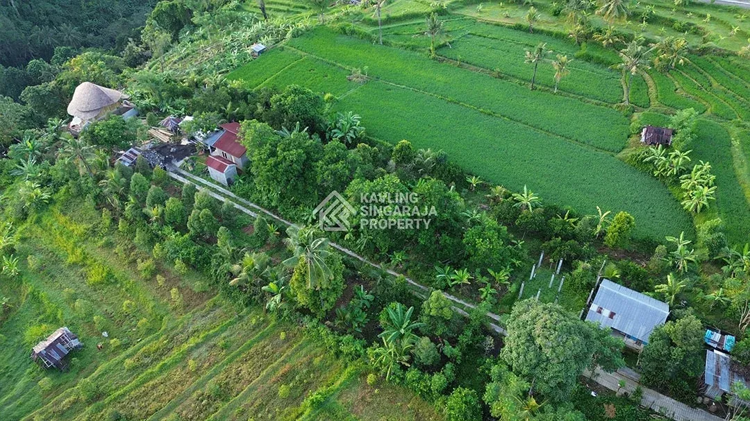 Tanah Kavling Luasan 1 Are di Sambangan - 6