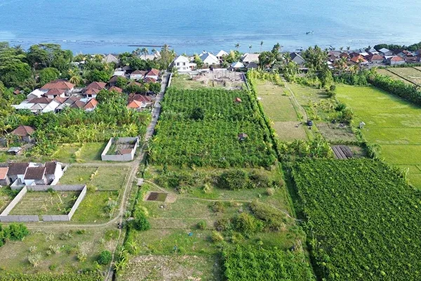 Tanah Kavling Murah Dekat Pantai Dencarik Buleleng - 2